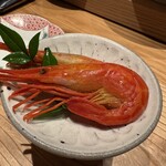 MAKIBI YUI - 北海シマエビ