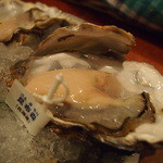 Oyster Bar ジャックポット - 昆布森(620円)