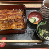 うなぎ割烹 白金台 まつ本 - 