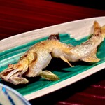 多仁本 - 七本鎗のほのかな甘みと淡い発泡が鮎の苦味と調和して旨い！