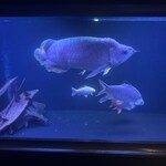 アクアリウムダイニング 新宿ライム - 