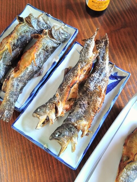 東北釣堀苑 - 会津下郷（その他）の写真