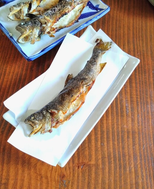 東北釣堀苑 - 会津下郷（その他）の写真