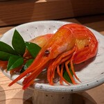 MAKIBI YUI - 北海シマエビ