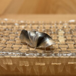 鮨 しみず - 天草のしんこ