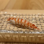 鮨 しみず - 一色の車海老