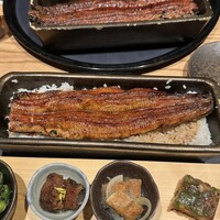 うなぎ四代目菊川 ヒルトンプラザウエスト大阪店 - 