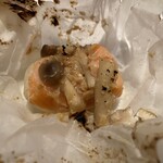 Dormy Club Karuizawa