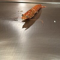 鉄板焼 下野 - 
