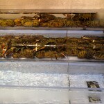 レッドロブスター - 