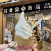 雪國商店