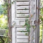 手打ちうどん ぶれーど・う - 