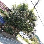 手打ちうどん ぶれーど・う - 