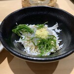銀座鮨処 まぐろ相馬水産 - 生しらす、釜揚げしらす
