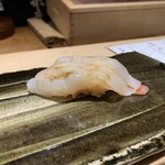 銀座鮨処 まぐろ相馬水産 - ボタンエビ