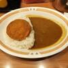 カレーショップ C＆C 新宿本店