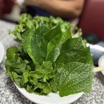 タイ居酒屋 イサーン サコンナコン - 