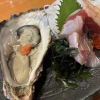 魚竹 - 