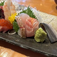 魚竹 - 