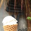 Scoops - 料理写真: