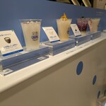 発酵 CALPIS PARLOR - 