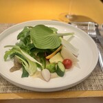 ヤマガタ サンダンデロ - 