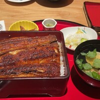 炭焼 うな富士 有楽町店 - 