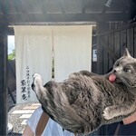 石臼挽手打十割蕎麦 紫翠庵 - 