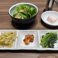 焼肉グレート 宇都宮駅前店 - チョレギサラダ
                    前菜３種盛り