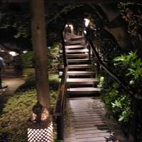 九つ井 本店 -  九つ井 本店 -