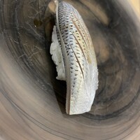 鮨 うえ岡 - 