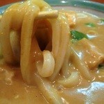 うどん 錦 - カレースープが残念