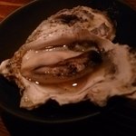 シャンパン&醤油バー フルートフルート - 【2014/9月】牡蠣料理