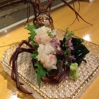 板前心 菊うら - 季節の特別コース　伊勢海老のお造り
