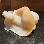 鮨処 春日 - エゾシイカゲガイ
