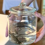 ウシマル - ・千葉県産 手長海老