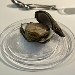 ウシマル - ・一宮町産 岩牡蠣