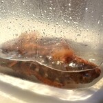 ウシマル - ・九十九里町産 カサゴ