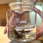 ウシマル - ・千葉県産 手長海老