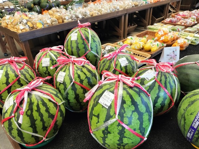 道の駅 国見 あつかしの郷 - 藤田（道の駅）の写真