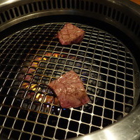 生粋 - 