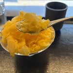 ひととせの雪 - 