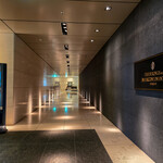 チャイナシャドー - 