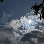 焼きもの家 慶 - 帰り道、きた大通りの向こうに秋っぽい空にまんまるっぽい月が出でいた