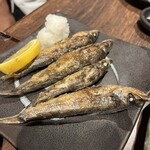 魚肴食堂 魚ふじ - 