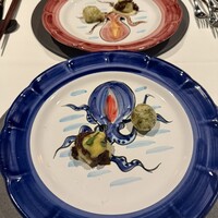 ニシデリア - 