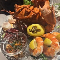 IL LUPINO PRIME - 