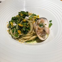 MOTORA  - 