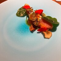 MOTORA  - 