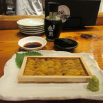 魚虎 - 板ウニ(赤) 5900円(愛媛)